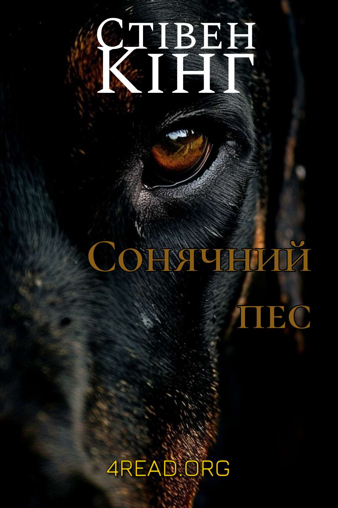 Сонячний пес - Стівен Кінг