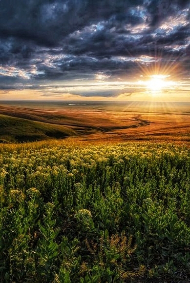 Дитинство - Юрій Яновський