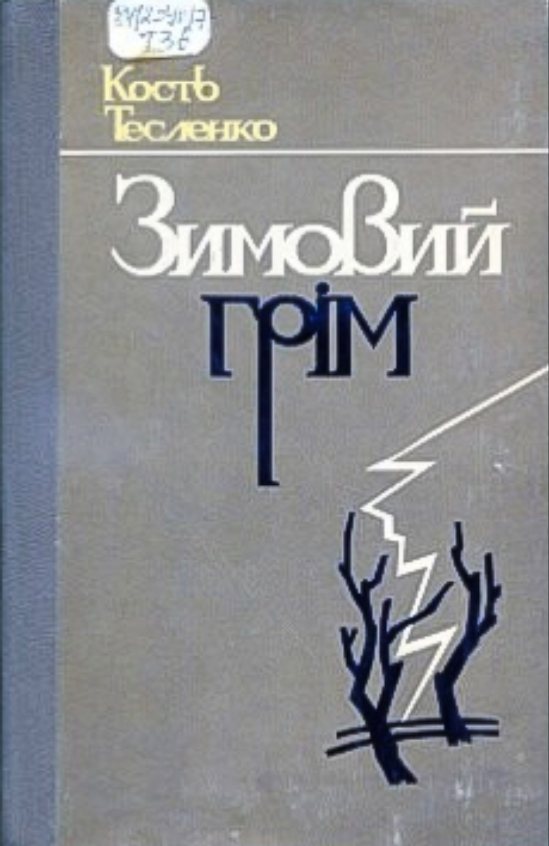 Зимовий грім - Костянтин Тесленко